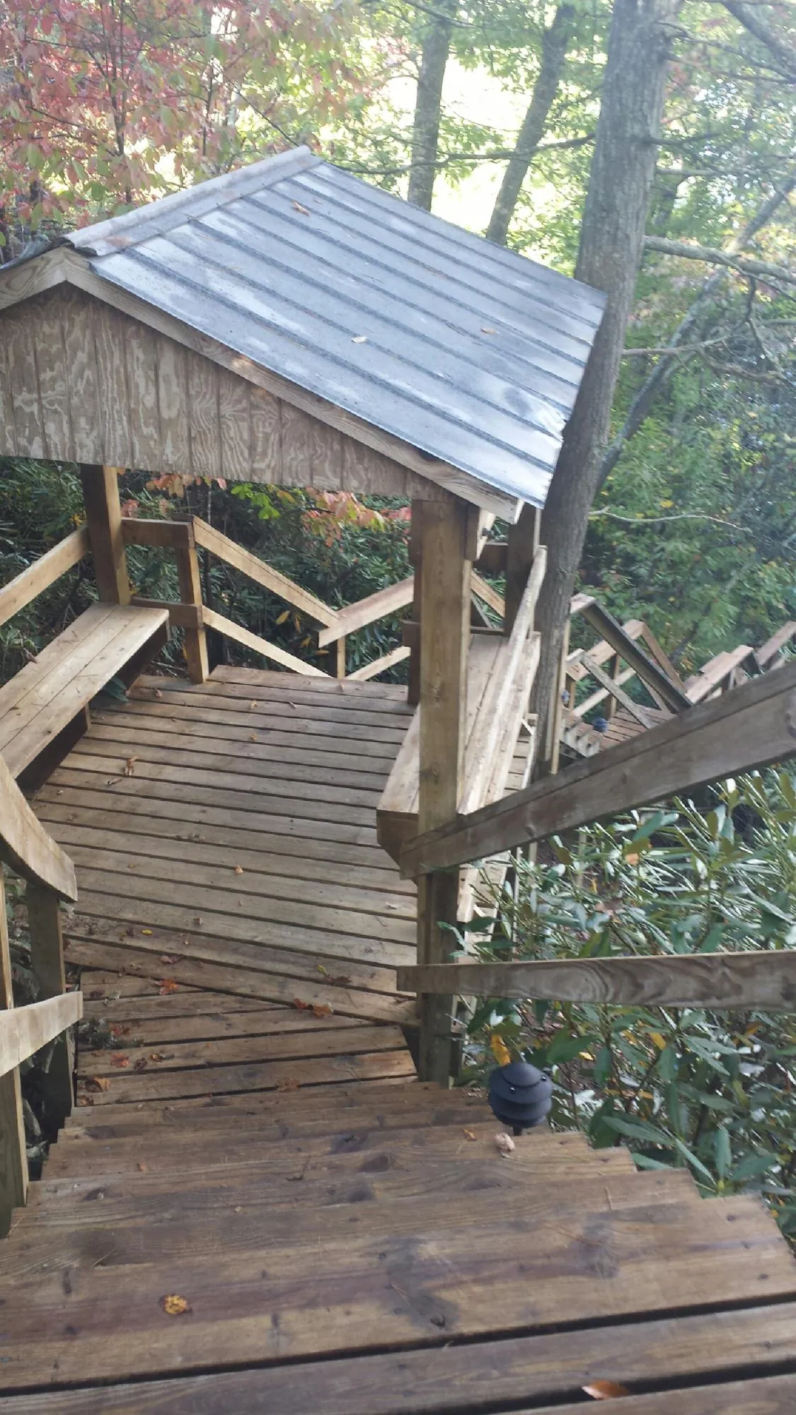 Metal roofed shelter over wooden steps on a wooded walkway — Skylight Repair & Installation work by our crew in Volcano