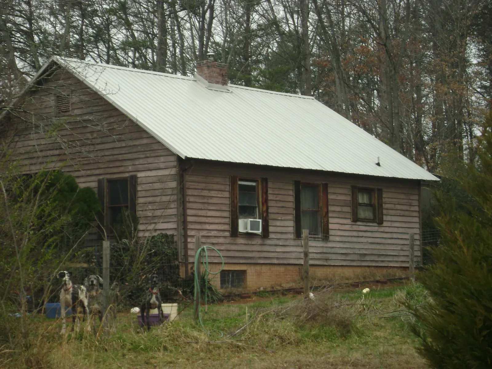White metal roof on an old wood sided farmhouse, from a Metal Roof Installation job in Volcano